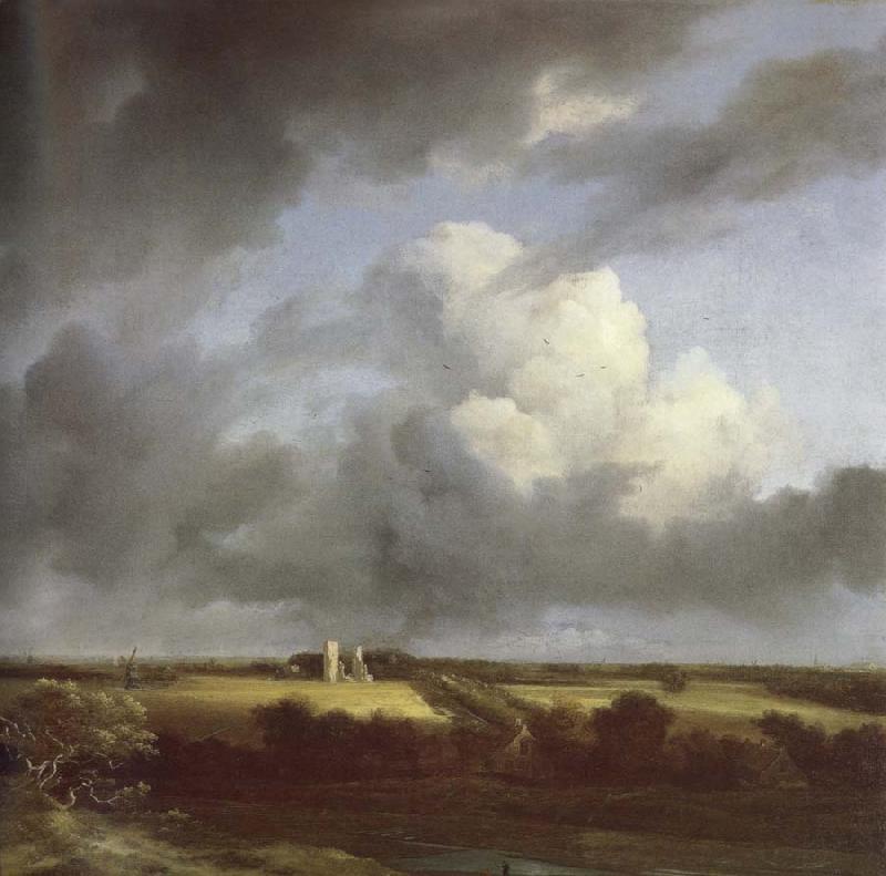 Jacob van Ruisdael View of the Ruins of Huis ter Kleef and Haarlem France oil painting art